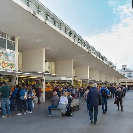 Arboli Cadiz